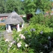 Ferienwohnung - Frau Reule